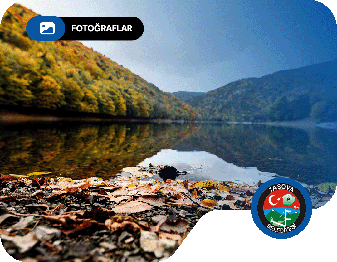 Tüm Fotoğraflar